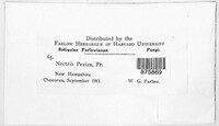 Hydropisphaera peziza image
